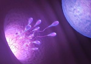 Menopause conception - Fertility & IVF After Age 50 Older Women Pregnancy