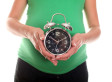 Female Reproductive System and Biological Clock